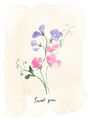 Image Not Available